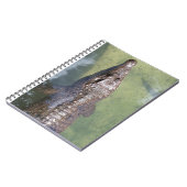 Carnet baignade (Côté gauche)