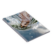 CARNET BAIGNADE DE SCEAU CUT (Côté Droit)