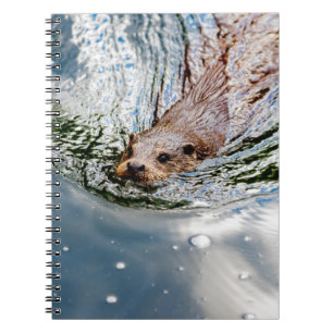 CARNET BAIGNADE DE SCEAU CUT