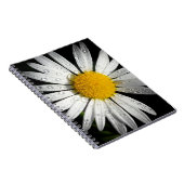 Carnet Baise blanche (Côté Droit)