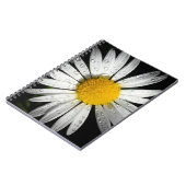Carnet Baise blanche (Côté gauche)
