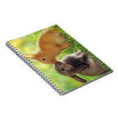 Carnet Baiser de lapin (Côté Droit)