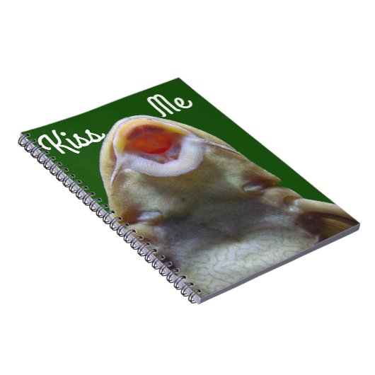 Carnet Baiser le poisson (Côté Droit)