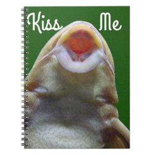 Carnet Baiser le poisson