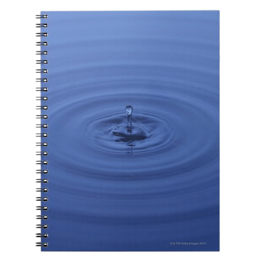 Carnet Baisses de l'eau (Devant)