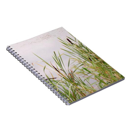 Carnet Balais Par Eau (Côté Droit)