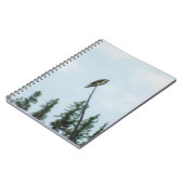 Carnet Balbuzard pêcheur 9028 (Côté gauche)