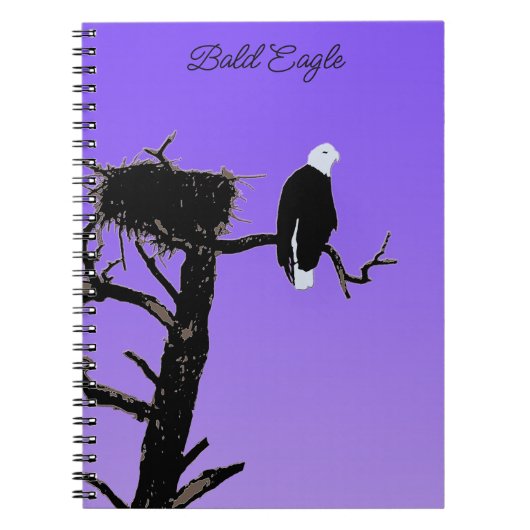 Carnet Bald Eagle at Sunset - Art original de la faune (Devant)