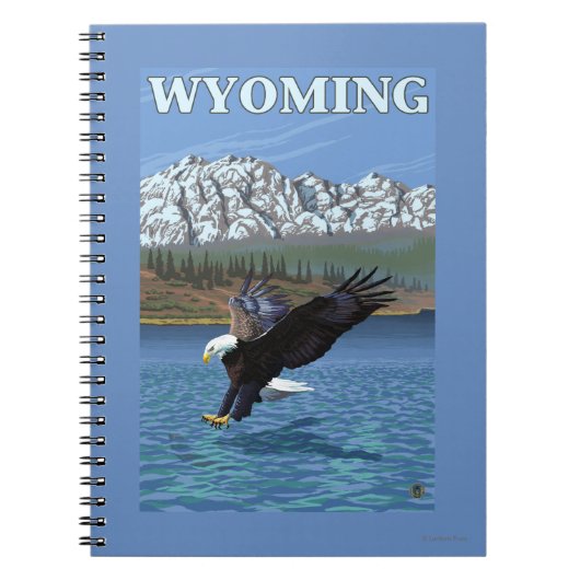 Carnet Bald Eagle Diving - Wyoming (Devant)