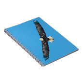Carnet Bald Eagle en vol (Côté Droit)
