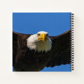Carnet Bald Eagle Flyby Up Close (Dos)