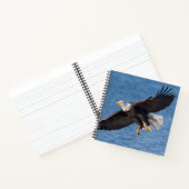 Carnet Bald eagle in flight (Intérieur)