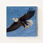 Carnet Bald eagle in flight (Dos)