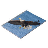 Carnet Bald eagle in flight (Côté gauche)