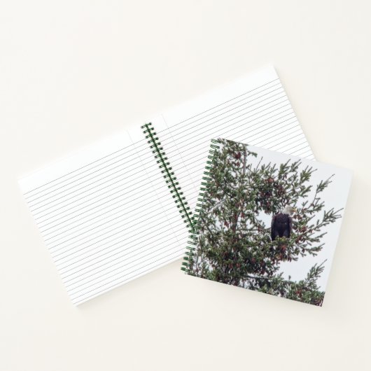Carnet Bald Eagle P2825 (Intérieur)