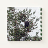 Carnet Bald Eagle P2825 (Dos)