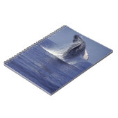 Carnet Baleine à bosse faisant une brèche (Megaptera (Côté gauche)