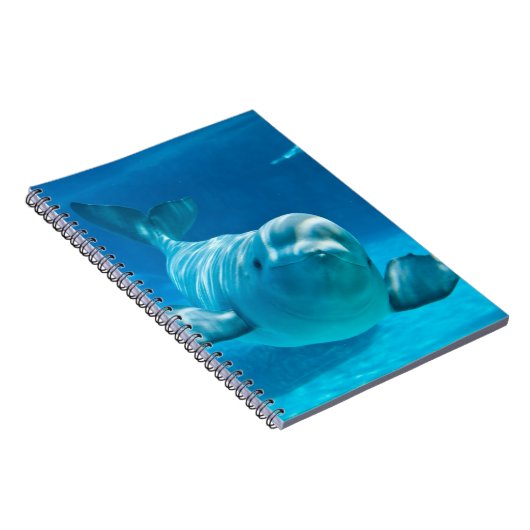 Carnet Baleine de beluga (Côté Droit)