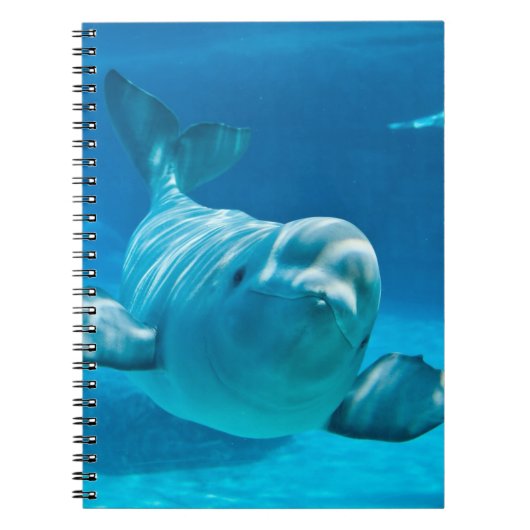 Carnet Baleine de beluga (Devant)