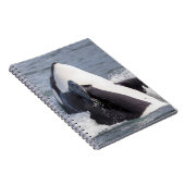 Carnet Baleine d'Orca (Côté Droit)