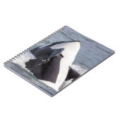 Carnet Baleine d'Orca (Côté gauche)