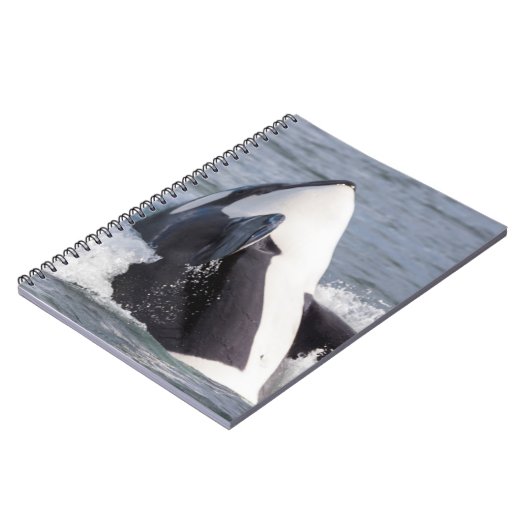 Carnet Baleine d'Orca (Côté gauche)