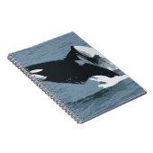Carnet Baleine d'Orka (Côté Droit)
