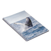 Carnet Baleine Géante Saute De L'Océan (Côté Droit)