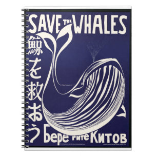 Carnet Baleine Non-Identifié Photos Vintages Vieux Pictur