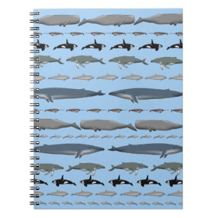 Carnet Baleines