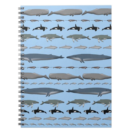 Carnet Baleines (Devant)