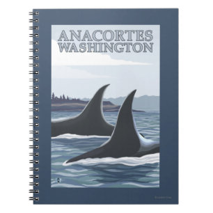 Carnet Baleines #1 - Anacortes, Washington d'orque