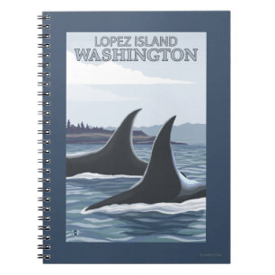 Carnet Baleines #1 - Lopez, Washington d'orque