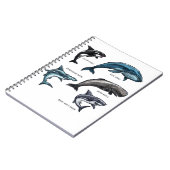 Carnet Baleines et requins Vie marine Design graphique Ad (Côté gauche)