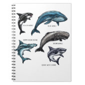 Carnet Baleines et requins Vie marine Design graphique Ad (Devant)