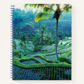 Carnet Bali | Vue D'Ensemble Des Terrasses De Riz (Devant)