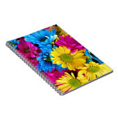 Carnet Balises aux couleurs vives (Côté Droit)