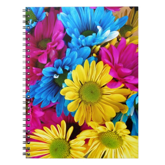 Carnet Balises aux couleurs vives (Devant)