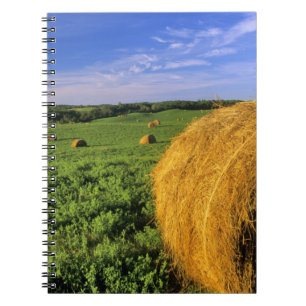 Carnet Balles de foin près de Bottineau Dakota du Nord