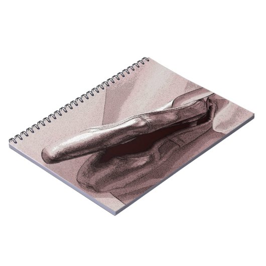 Carnet Ballet précieux (Côté gauche)