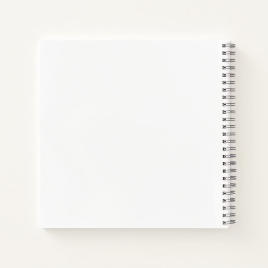 Carnet Ballet Spiral Notebook (Dos)