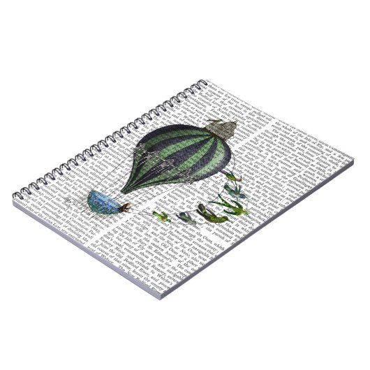 Carnet Ballons à air chaud et oiseaux (Côté gauche)