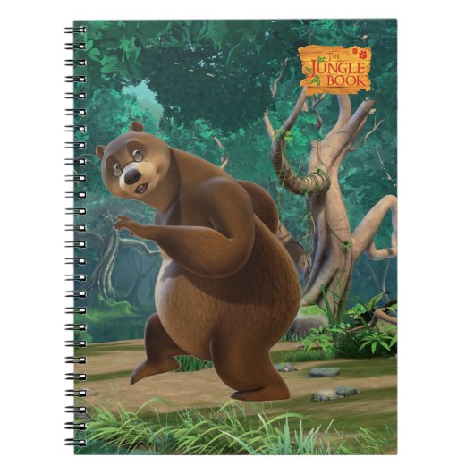 Carnet Baloo 3 (Devant)
