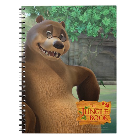 Carnet Baloo 5 (Devant)
