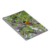 Carnet Baltimore Oriole (Côté Droit)