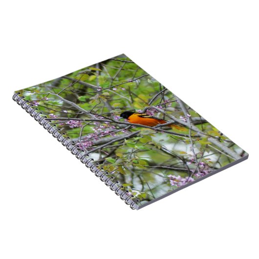 Carnet Baltimore Oriole (Côté Droit)