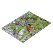 Carnet Baltimore Oriole (Côté gauche)