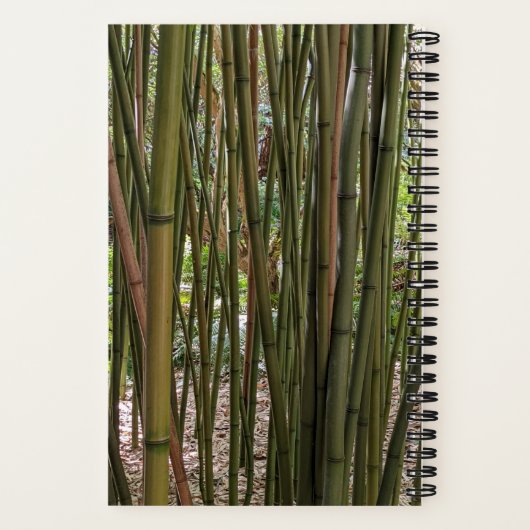 Carnet Bambou vert Stalks Botanique (Verso)
