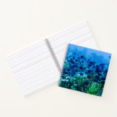 Carnet Banc de discus bleus Photo sous-marine (Intérieur)