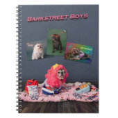 Carnet Bande carlin (Devant)